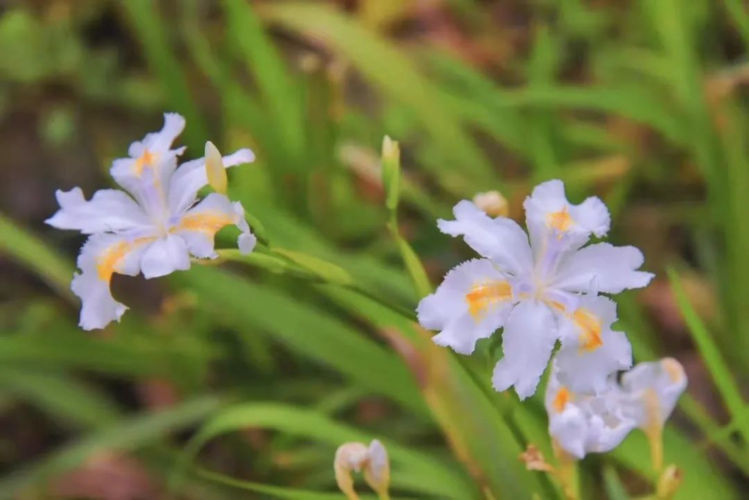 币游国际·(中国)最新官方网站