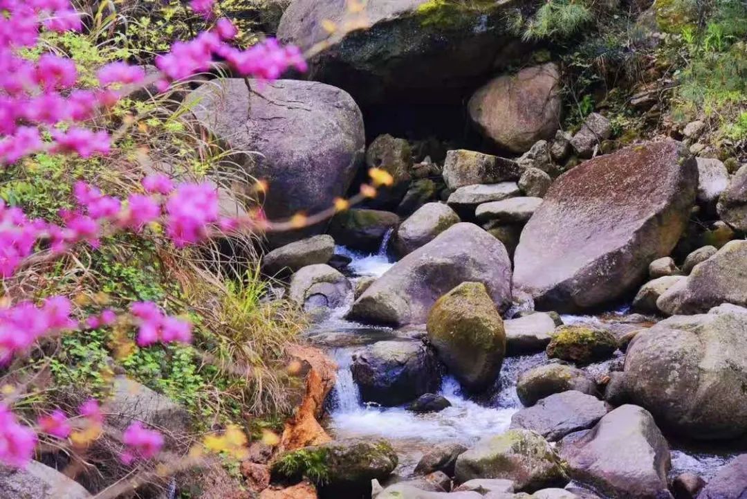 币游国际·(中国)最新官方网站