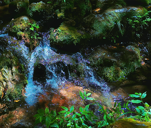 币游国际·(中国)最新官方网站